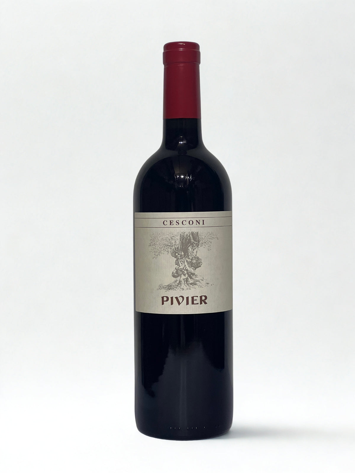 Pivier 2010