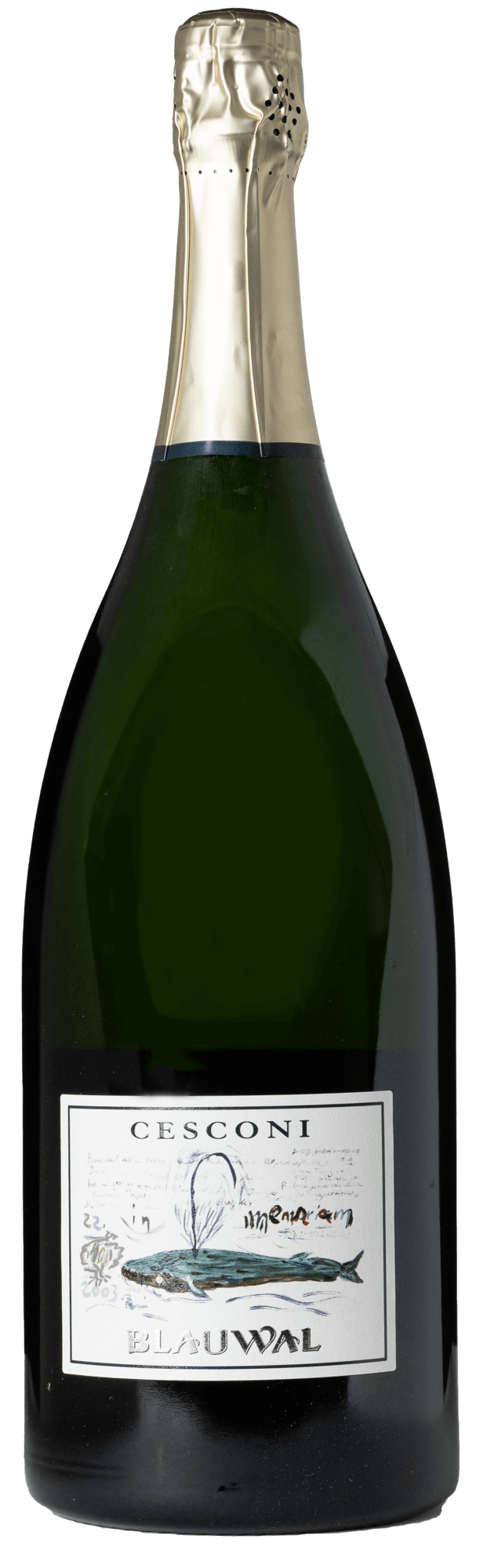 Blauwal Brut Doc Ris. 2010