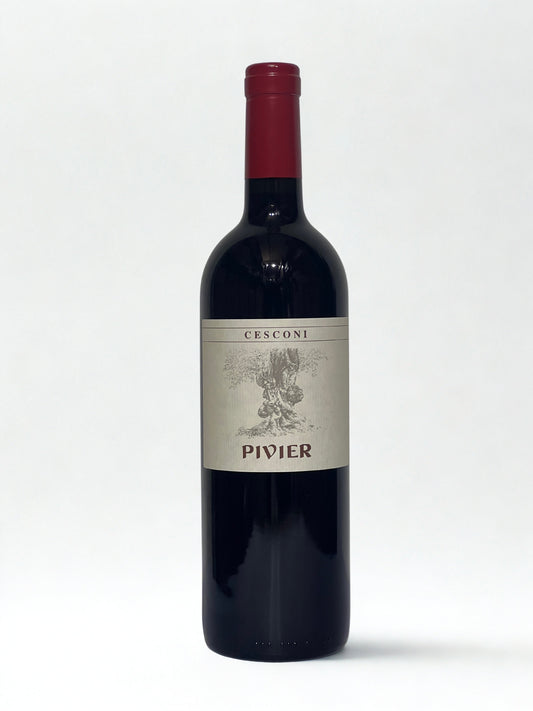 Pivier 2010