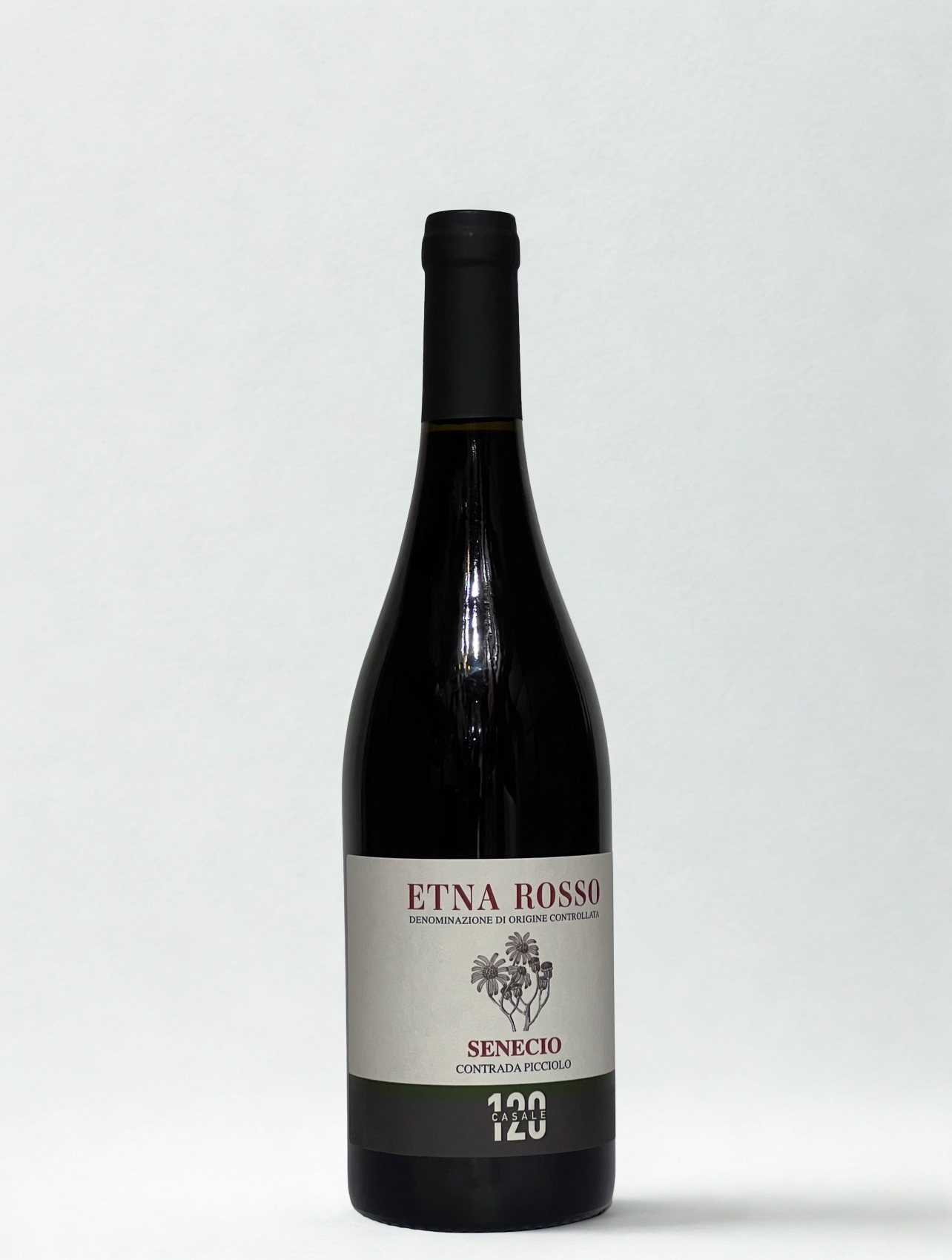 Senecio Etna Rosso 2020
