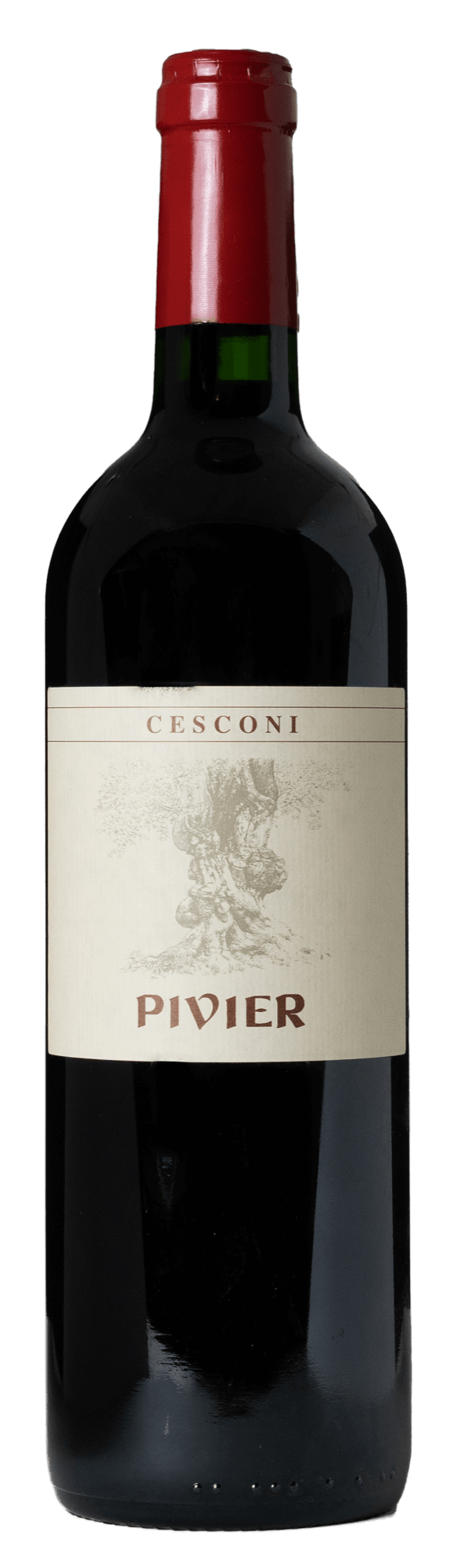 Pivier 2008