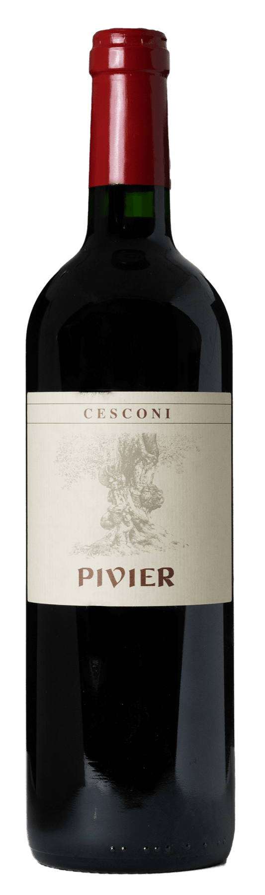 Pivier 2008