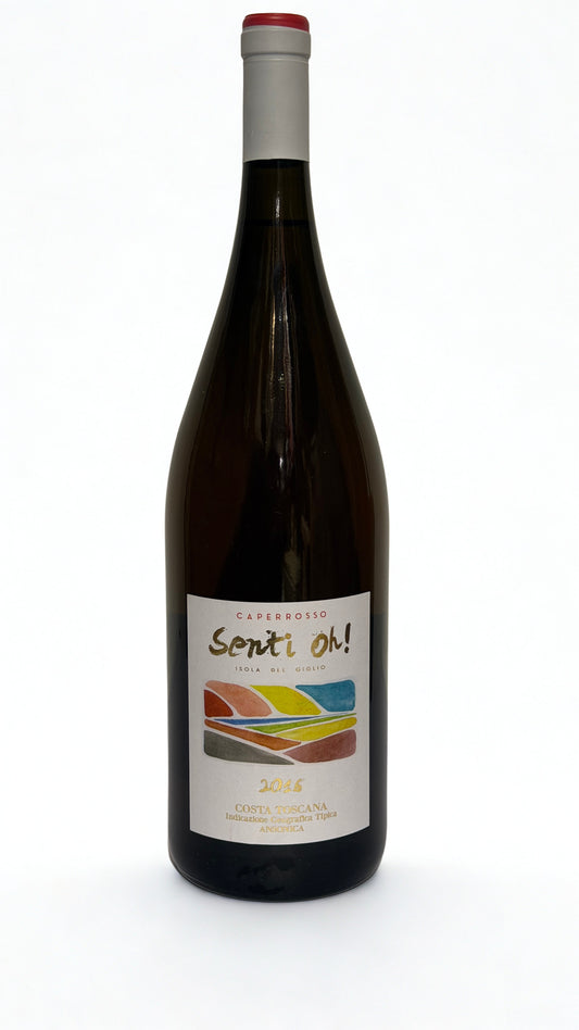 Fontuccia Senti Oh! Ansonica 2016 Magnum